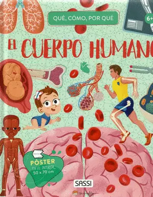 El Cuerpo Humano
