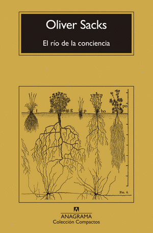 Rio De La Conciencia, El