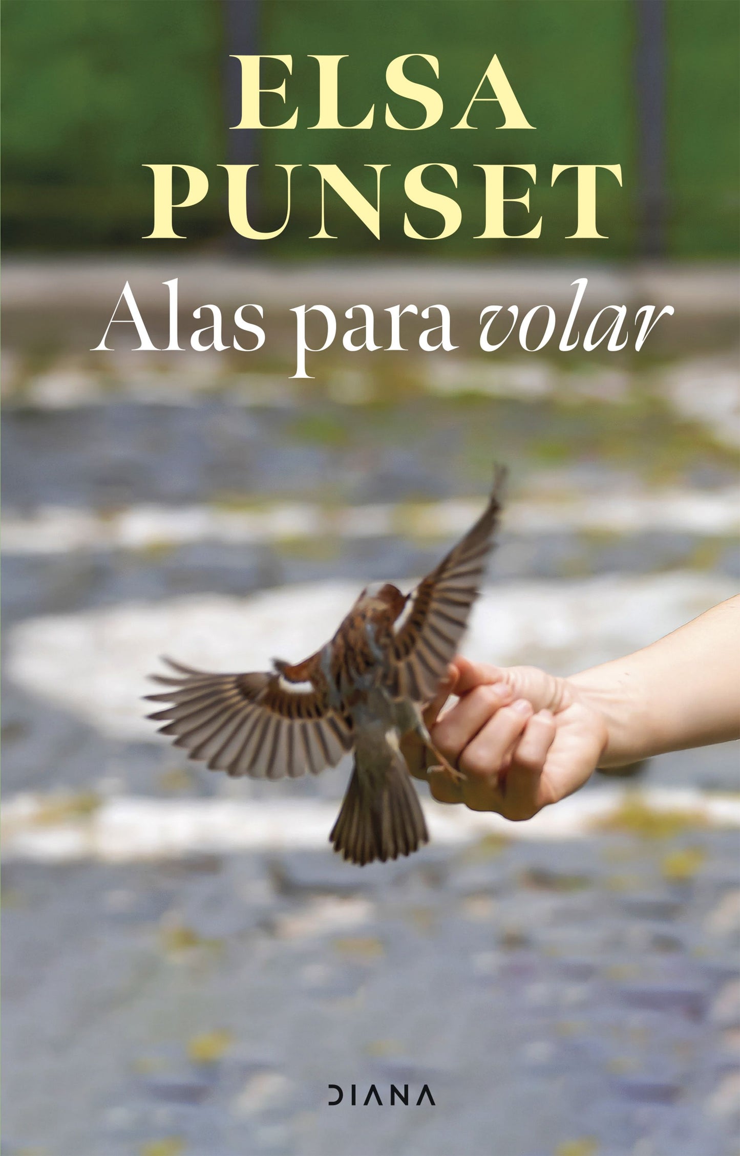 Alas para volar
