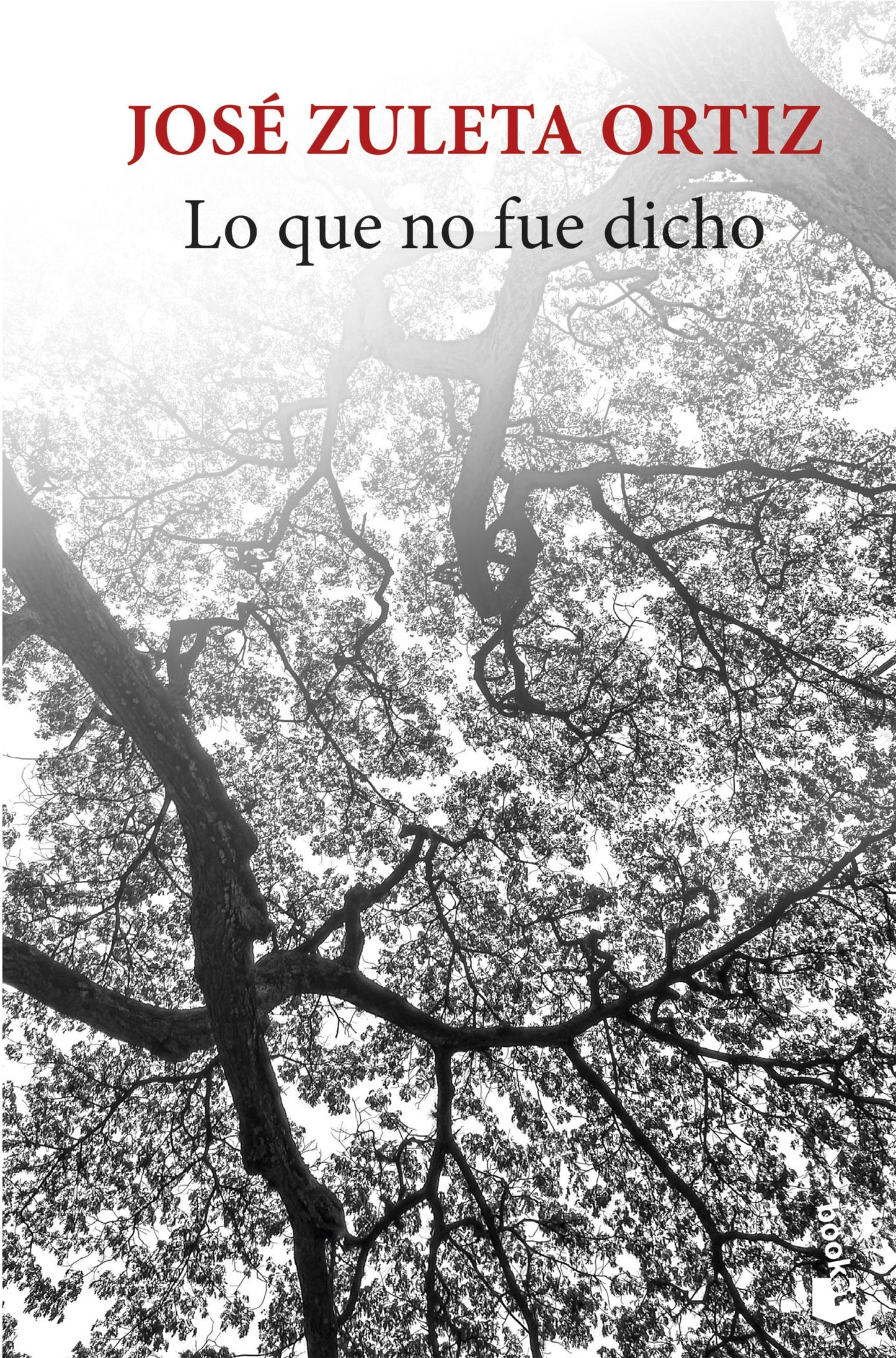 Lo que no fue dicho