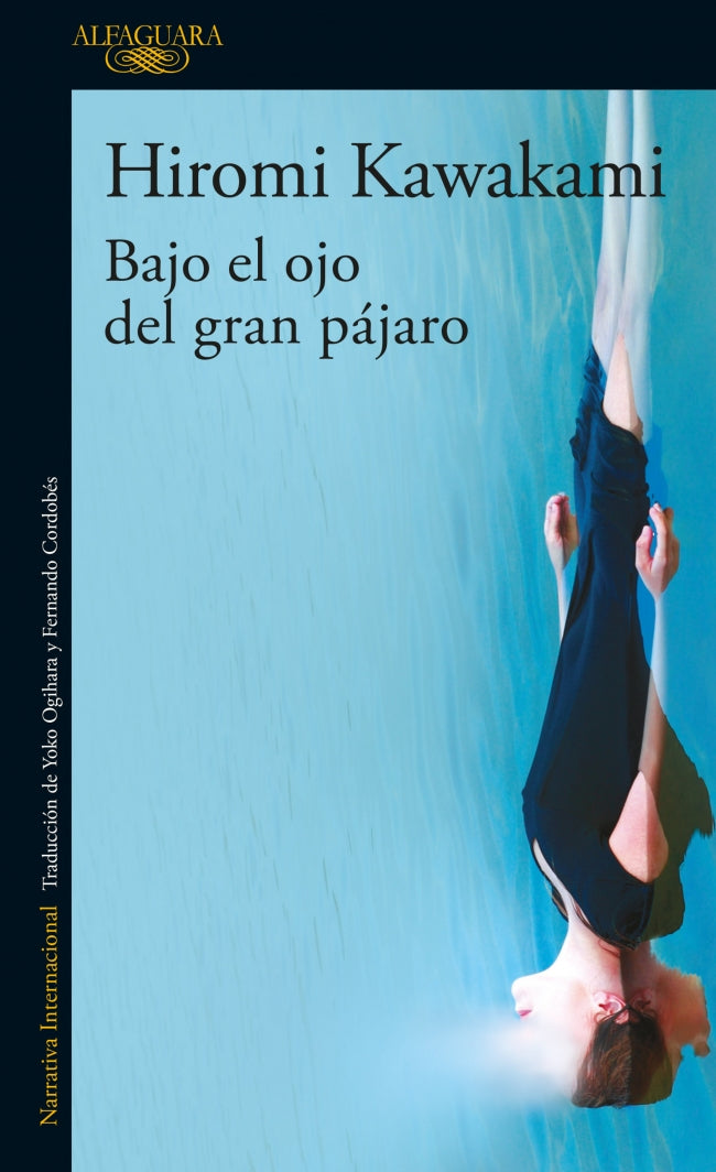 Bajo el ojo del gran pajaro