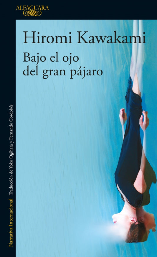 Bajo el ojo del gran pajaro