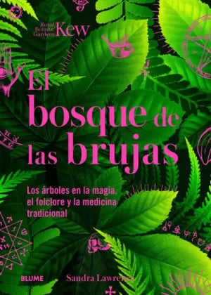El Bosque De Las Brujas : Los Árboles En La Magia, El Folclore Y La Medicina Tradicional.