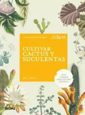 Cultivar Cactus Y Suculentas