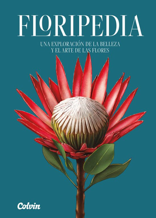 Floripedia: Una Exploración De La Belleza Y El Arte De Las Flores