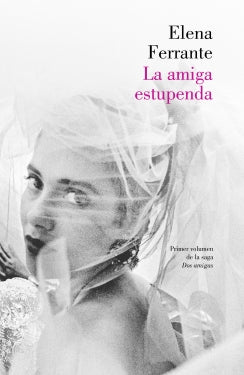 La amiga estupenda (Dos amigas 1)