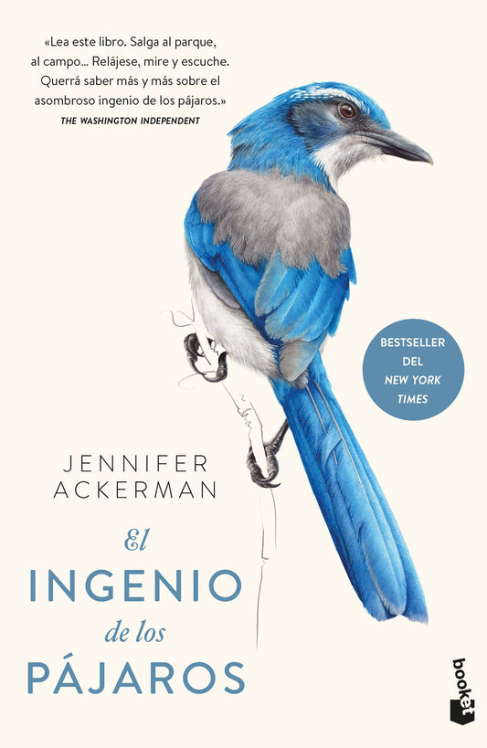 El ingenio de los pájaros