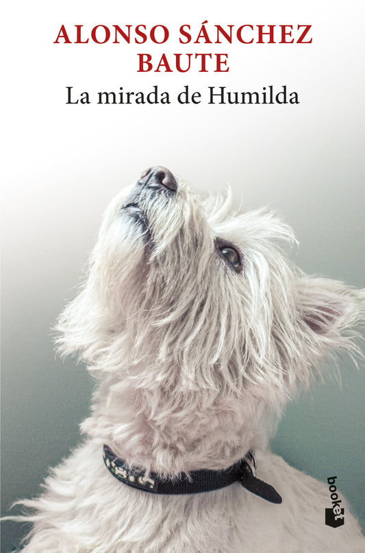 La mirada de Humilda