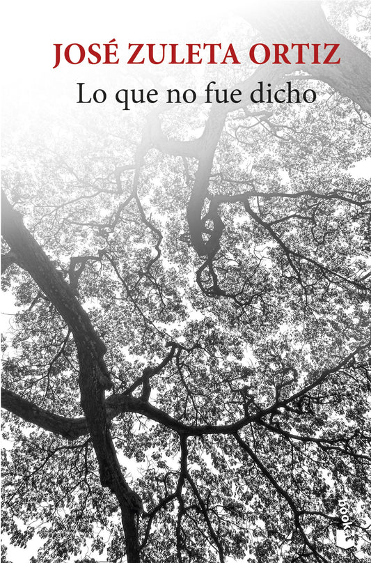 Lo que no fue dicho