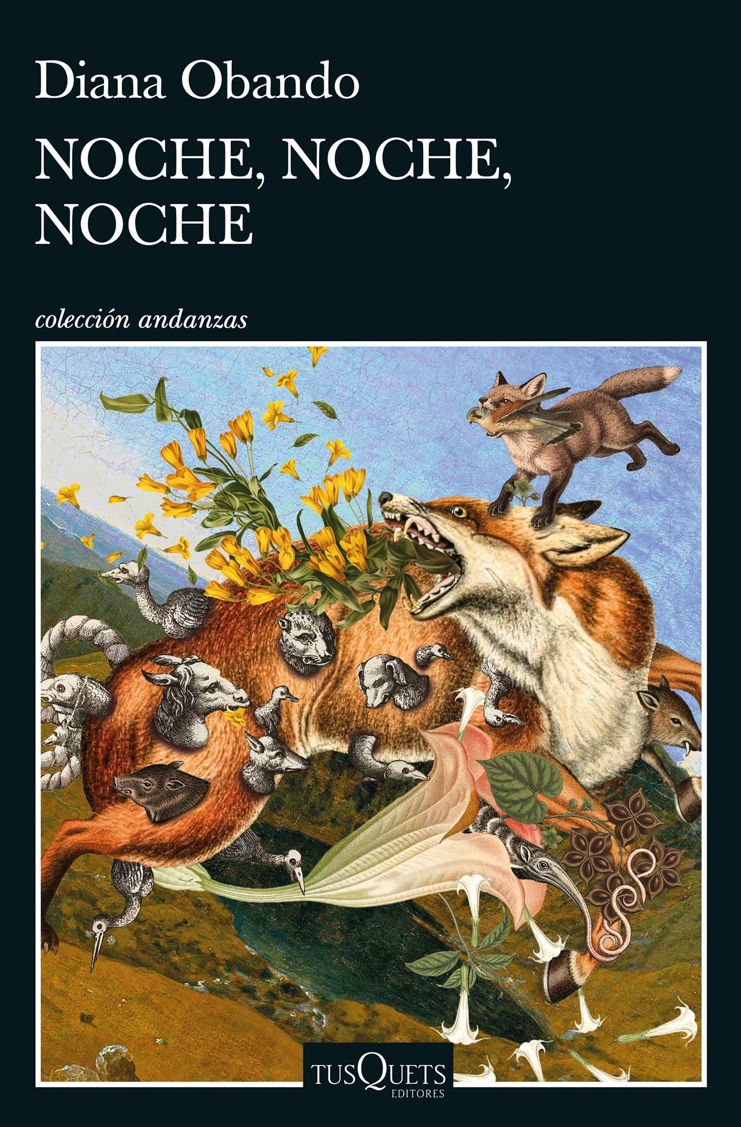 Noche, noche, noche
